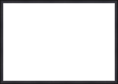Black Frame. Opening Size: 19x27. Final Size: 20'' X 28''