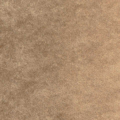 Theo 182244 Shady Sands