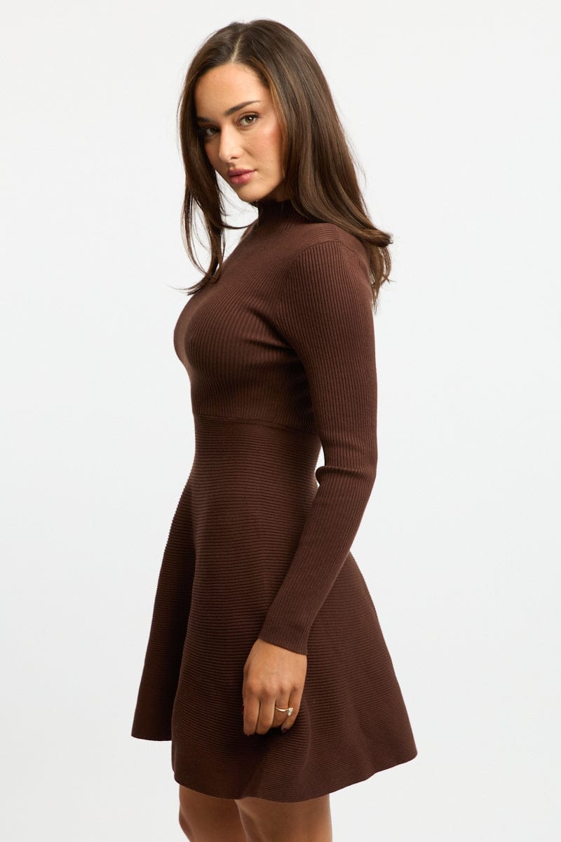 Brown Knit Dress Fit And Flared