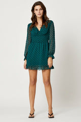 Polka Dot Skater Dress