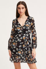 Print Mini Dress Long Sleeve V Neck