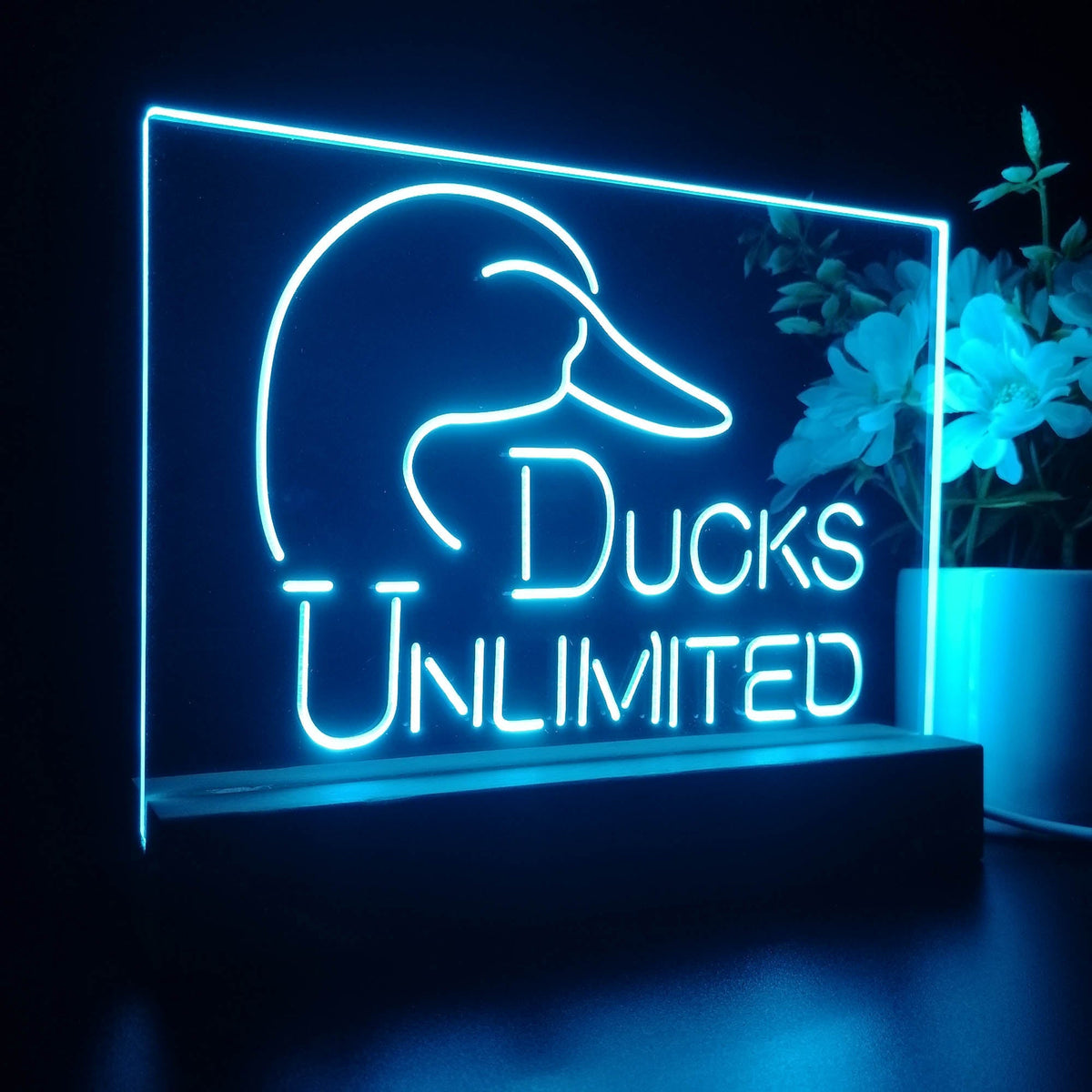 Ducks Unlimited 3D LED Illusion Sport Team Night Light
