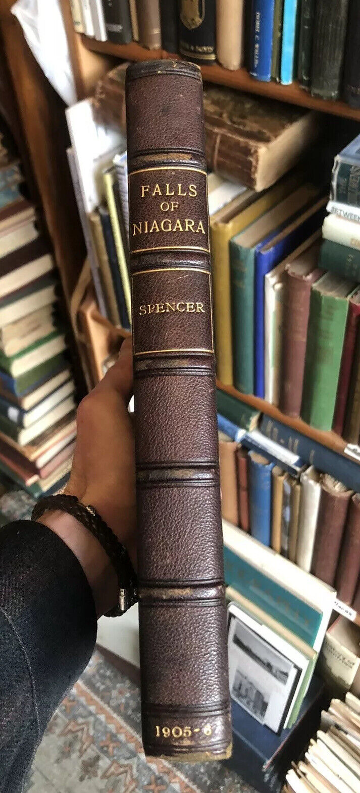 Spencer's Falls of Niagra : Evolution and Relations to the Great Lakes 1907